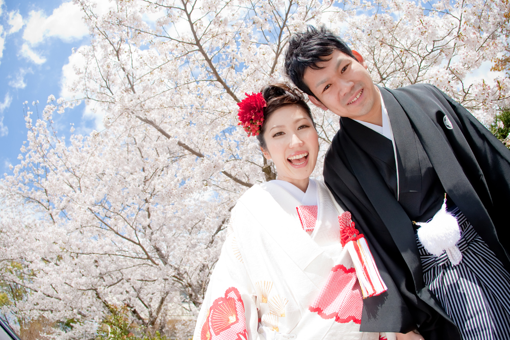 ２０１２年４月５日の桜ロケは満開・青空・万歳!!