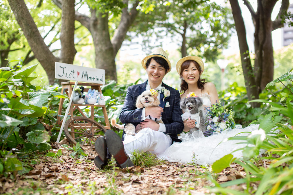 フォトウェディング撮影 公園 ペットと