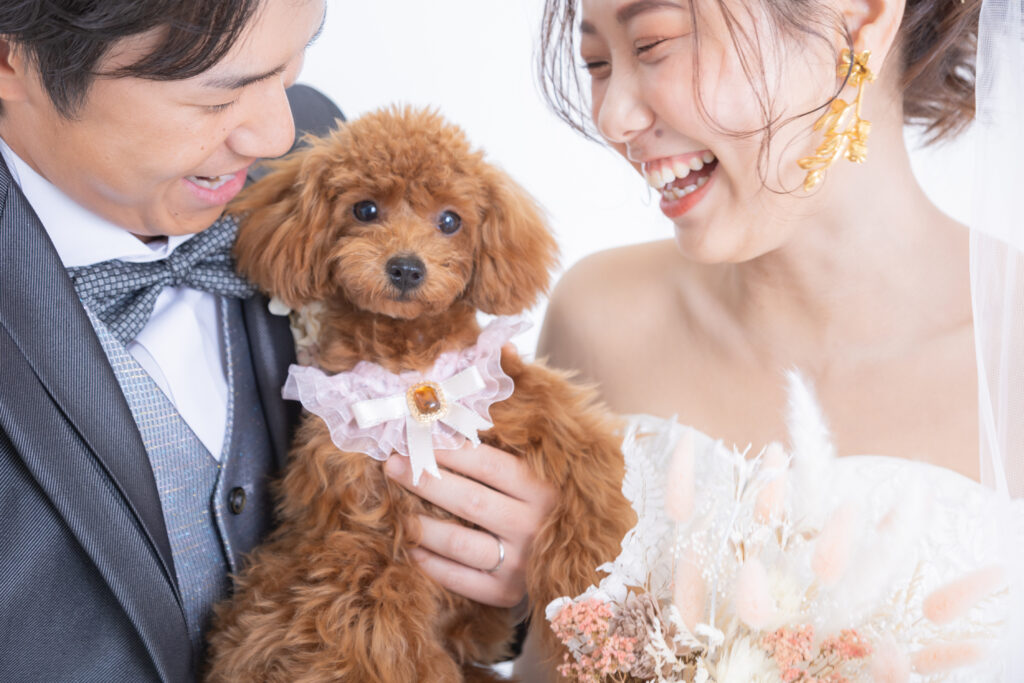 フォトウェディング撮影 ペットと一緒に撮影