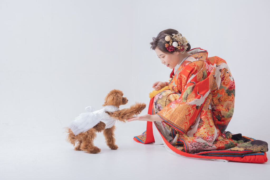フォトウェディング　ペットと色打掛の花嫁