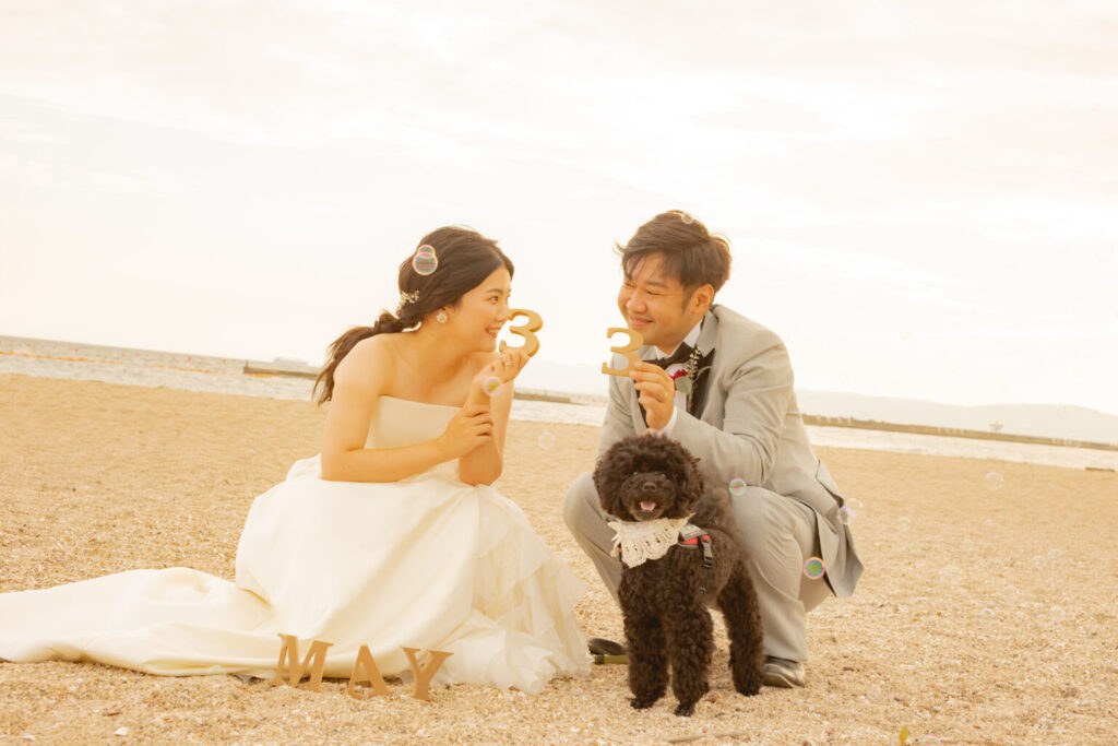 フォトウェディング撮影　ペットと浜辺で座る新郎新婦