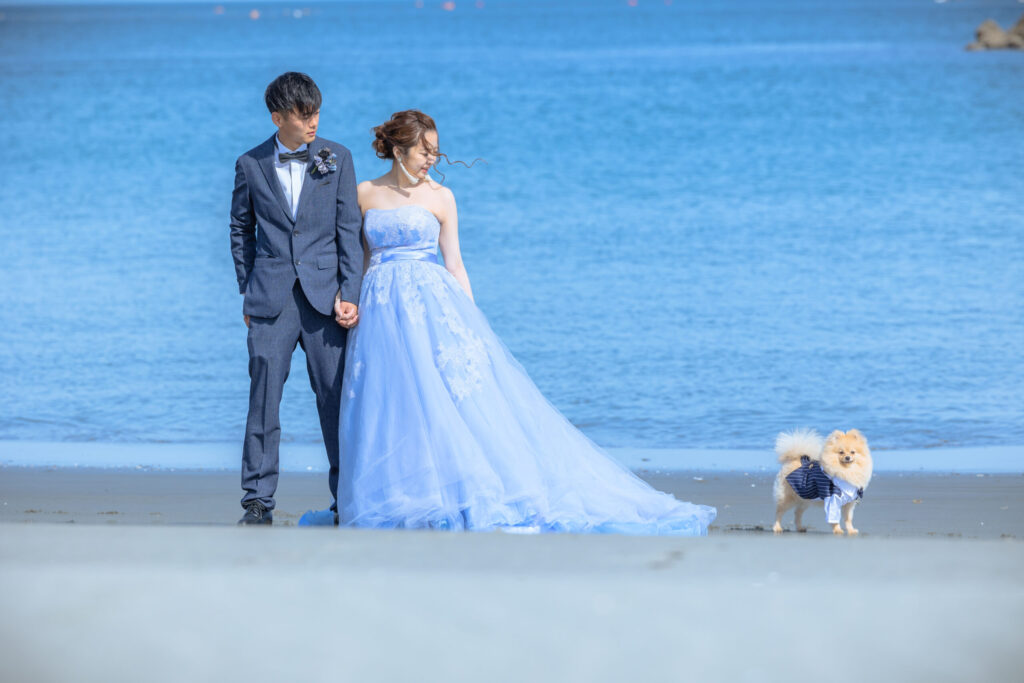 浜辺に立つ洋装の新郎新婦とペットのポメラニアン