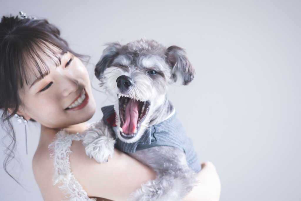 ペットと一緒のフォトウェディング:茨城阿部写真館