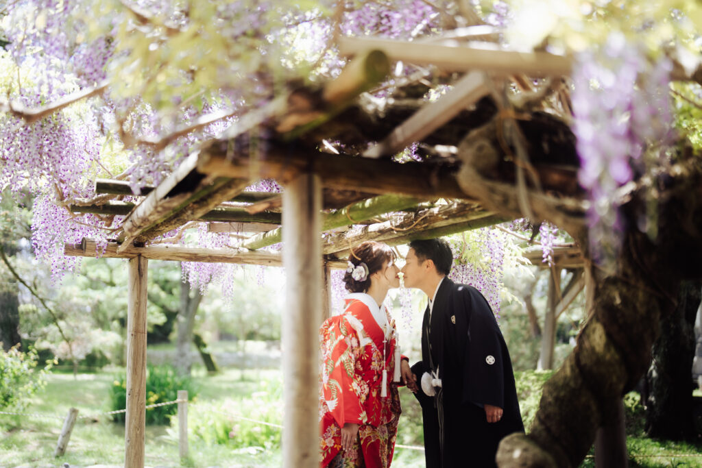 茨城県でフォトウェディング撮影の洋装藤の花ロケーション