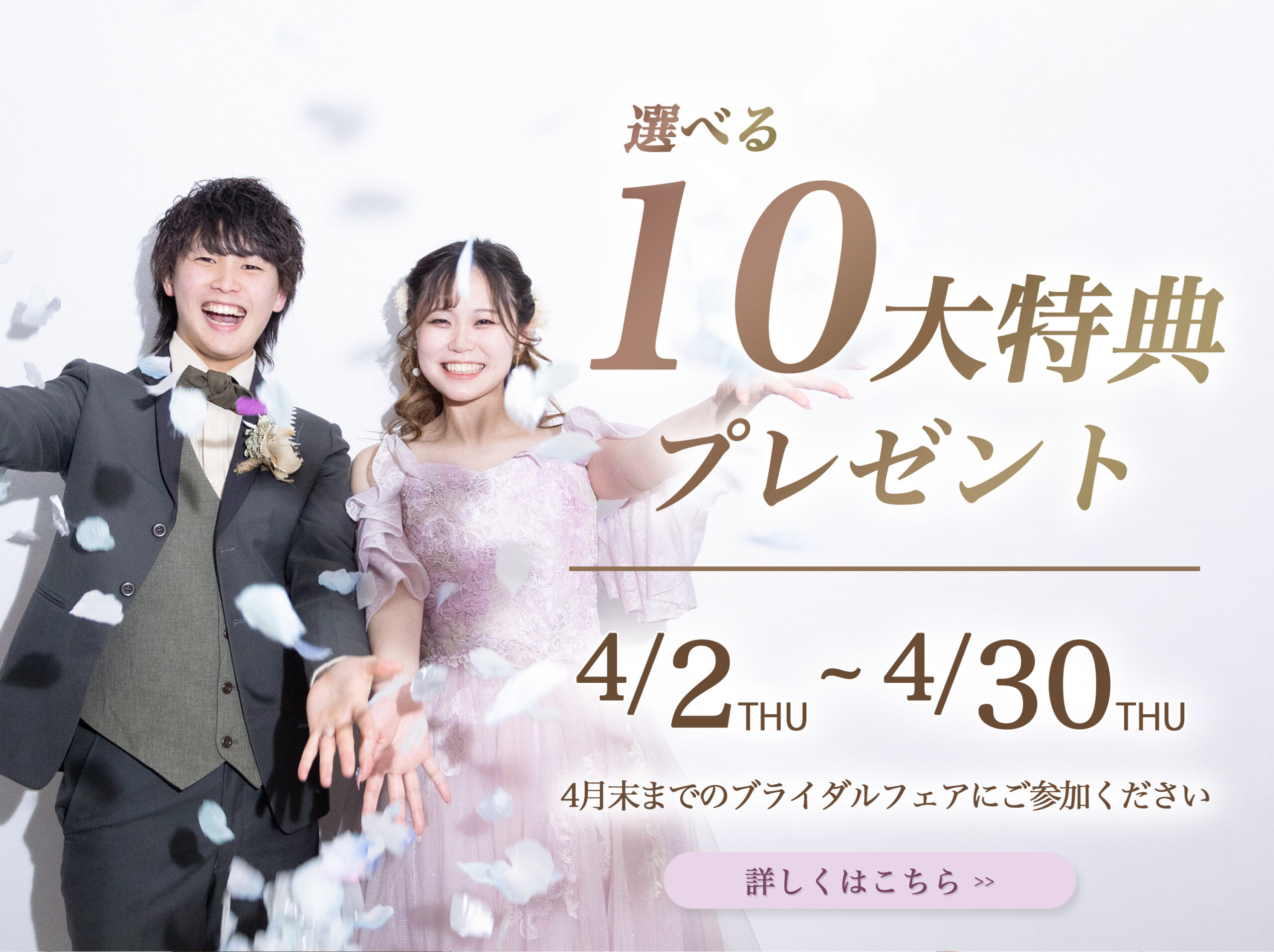 茨城のフォトウェディングのキャンペーン情報