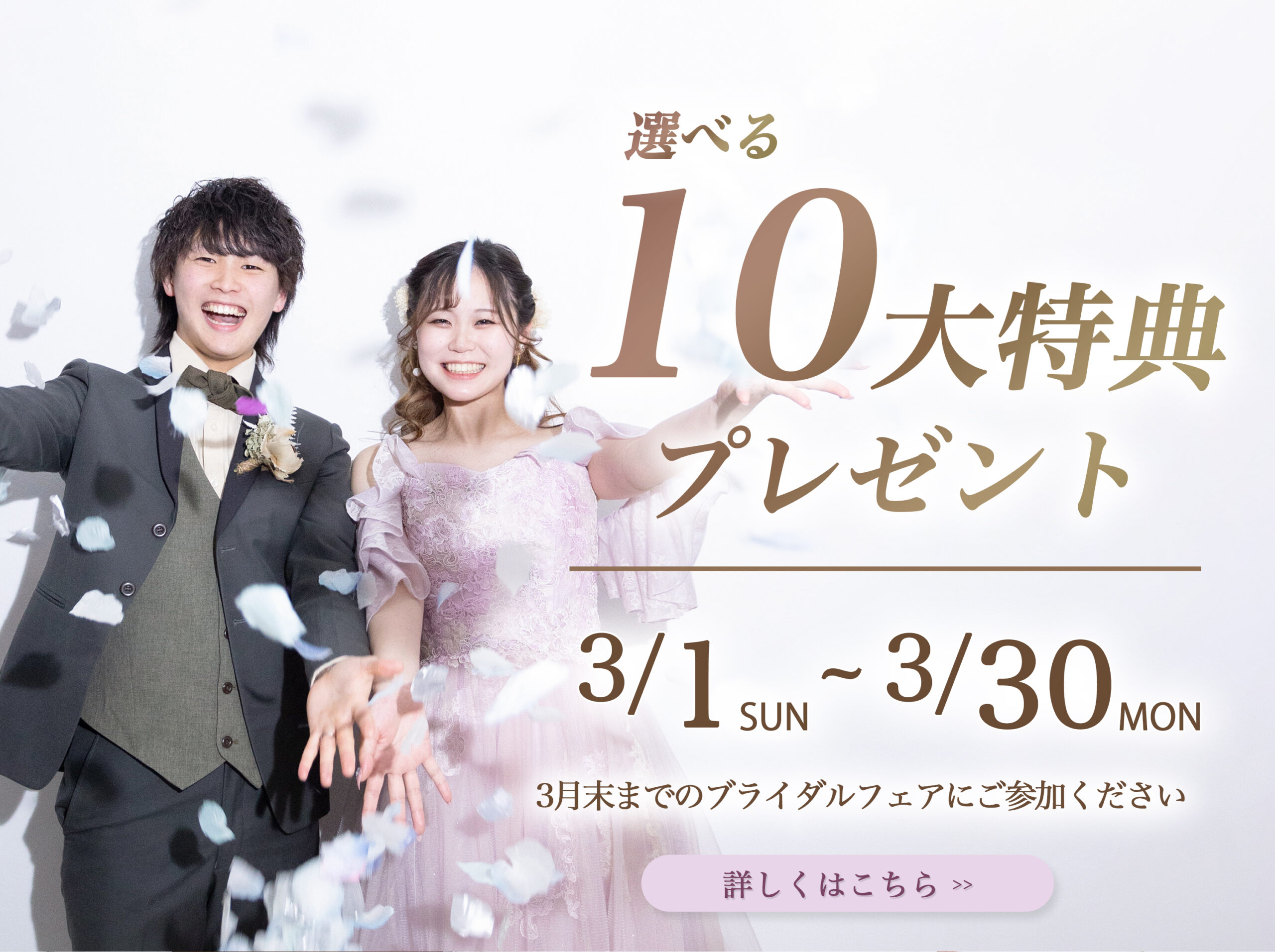 茨城のフォトウェディングのキャンペーン情報